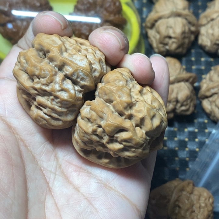 把件文玩核桃蛤蟆40全