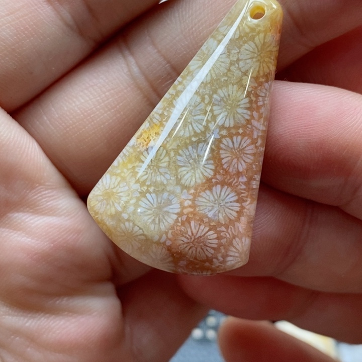 硅化珊瑚（珊瑚玉）颈饰未镶嵌