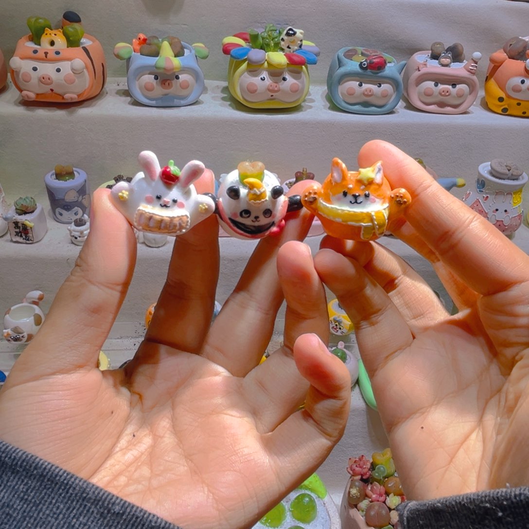 J*SJ S宝贝专属链接拍拍种鸽子蛋