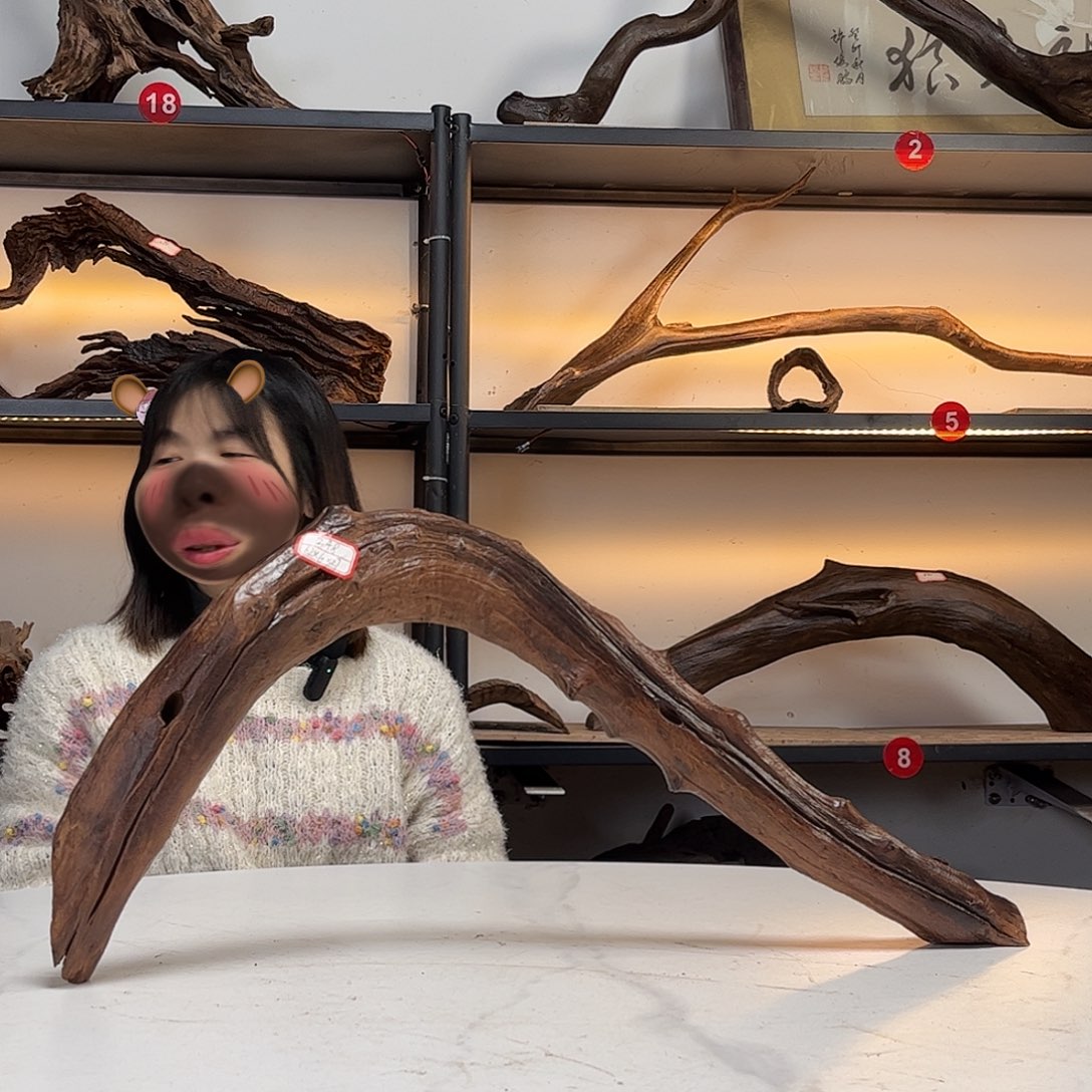 @***。茶宠尺寸，62.27。            