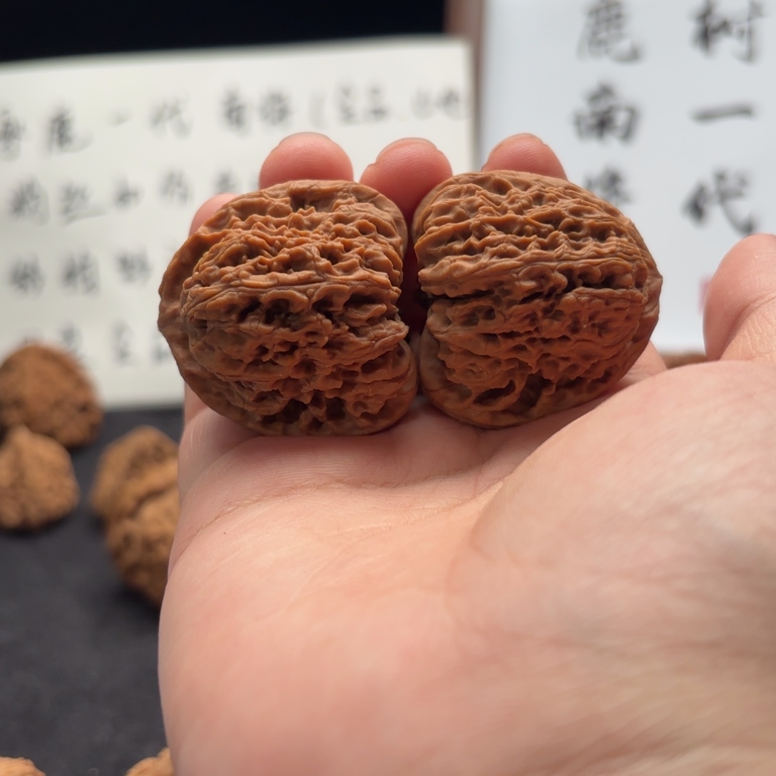 鑫***^核桃涿鹿南疆涿鹿