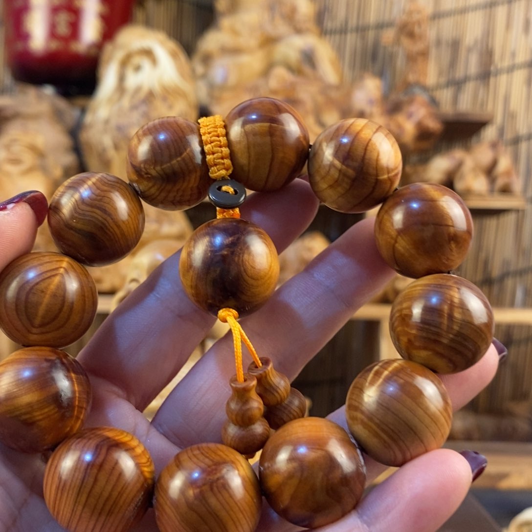 柏木（崖柏）太行崖柏