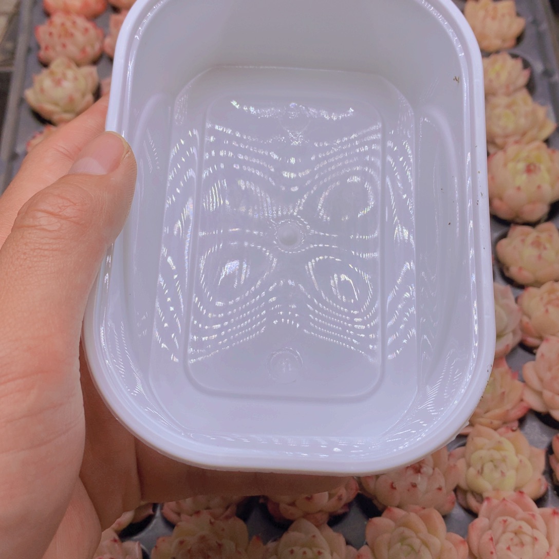 Y***L我要去看你了啊035