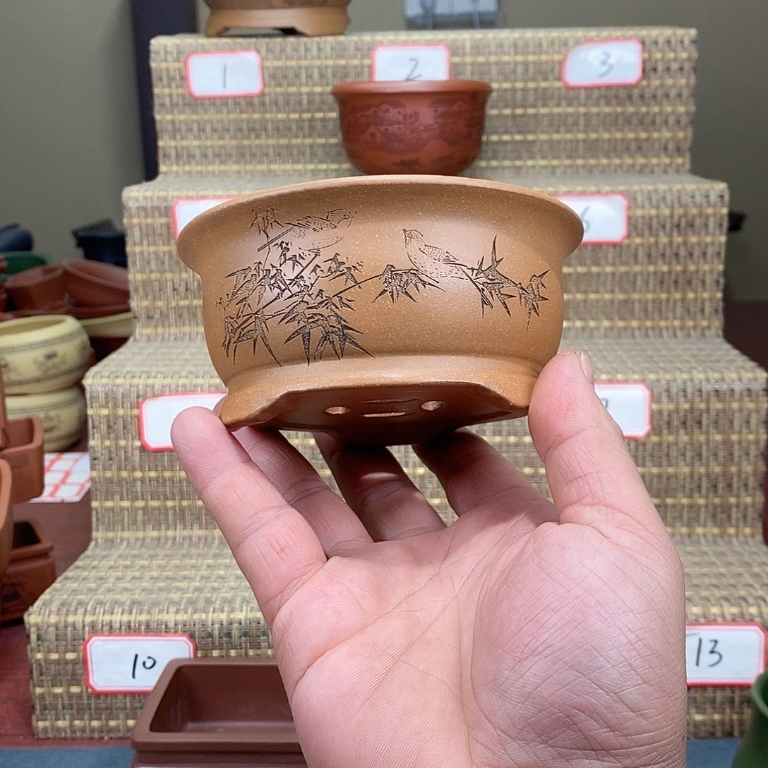 紫砂花盆我在等一