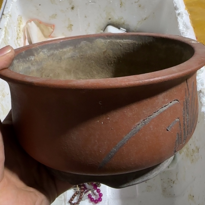 幸***乐打个好结局健健康康看