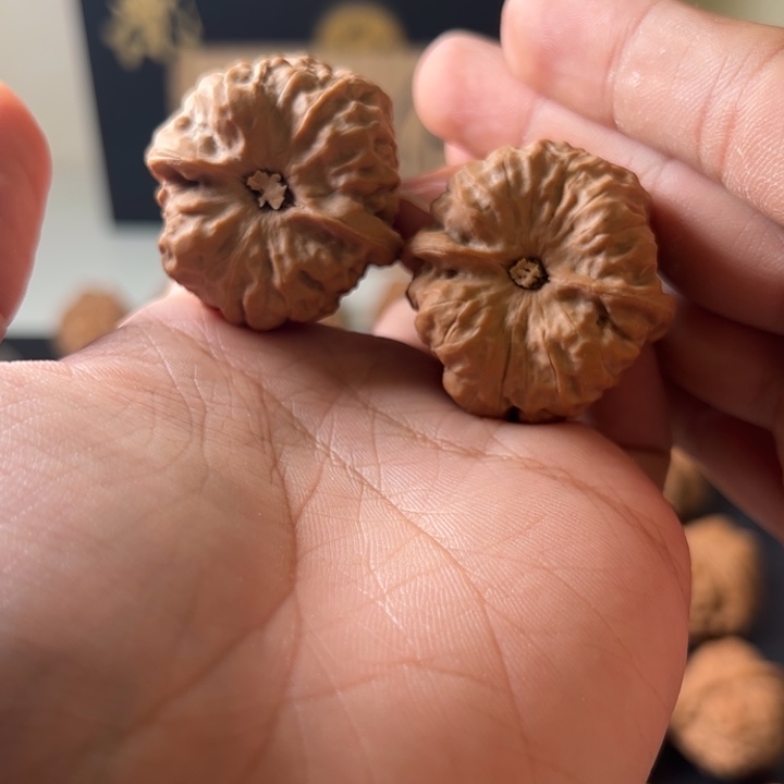 文玩核桃把件蛤蟆头