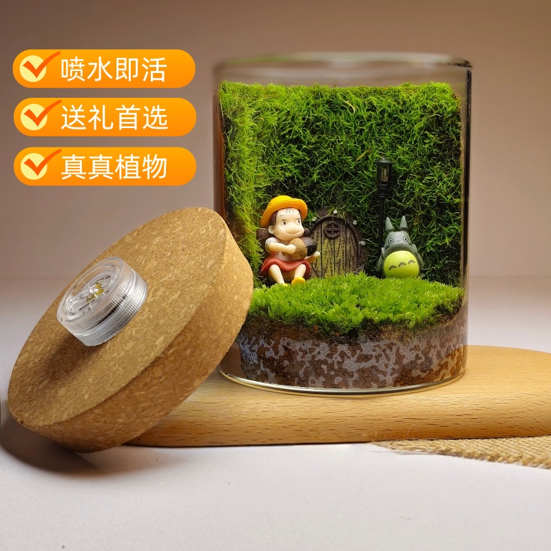 真植物真苔藓微景观办公室宿舍桌面摆件新奇礼物夜灯成品懒人可养