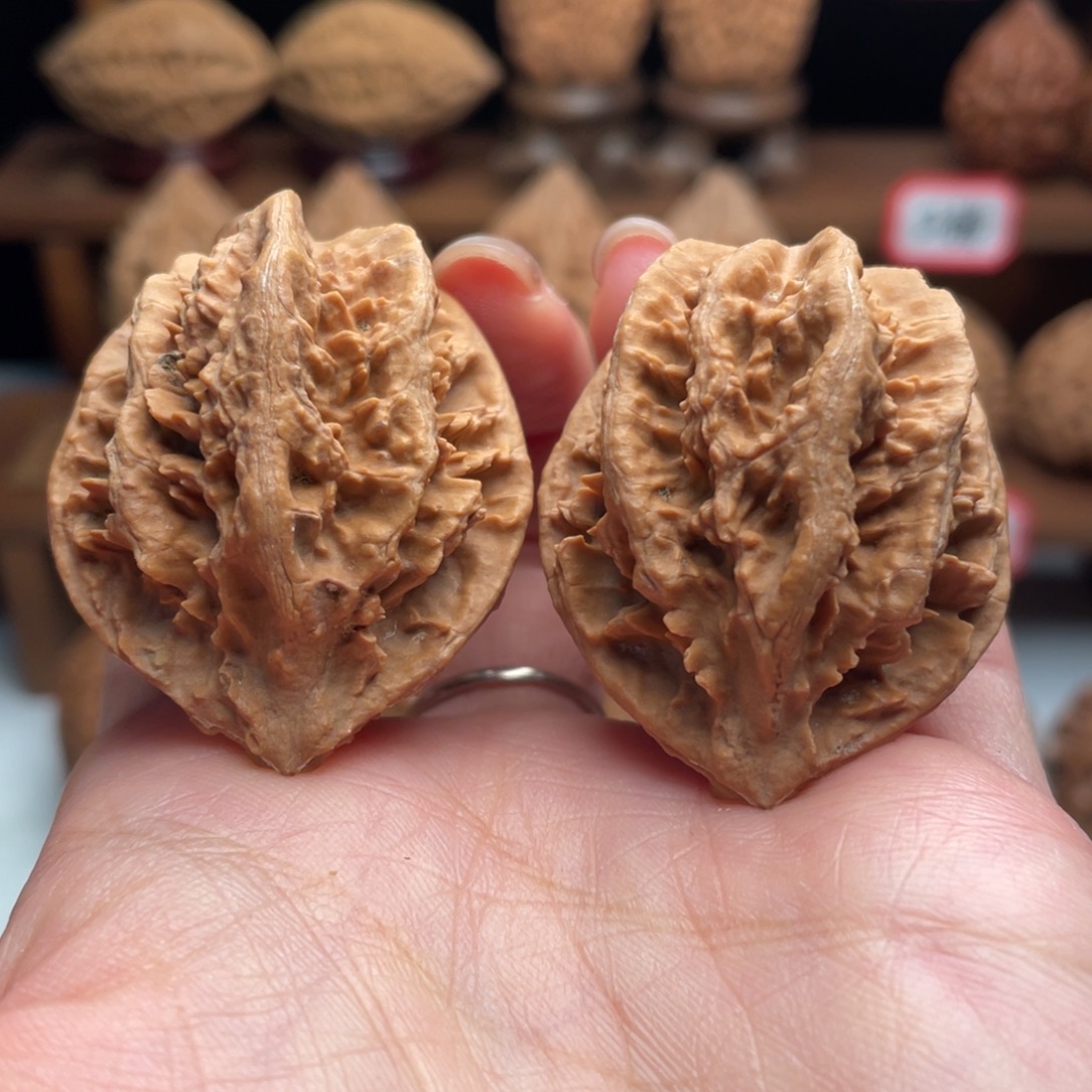 文玩核桃把件楸子25