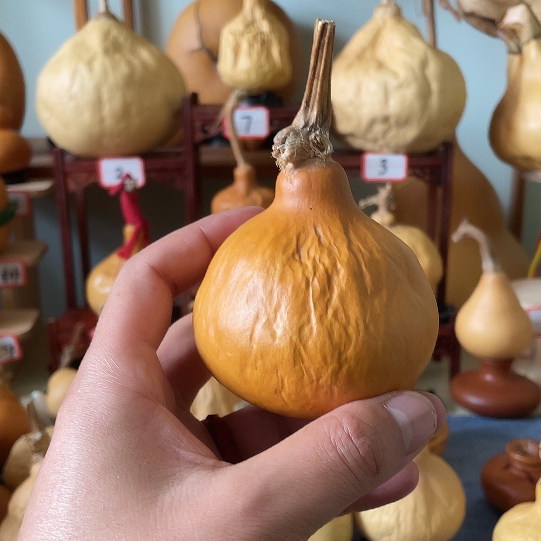 ****暖文玩葫芦抽抽葫芦