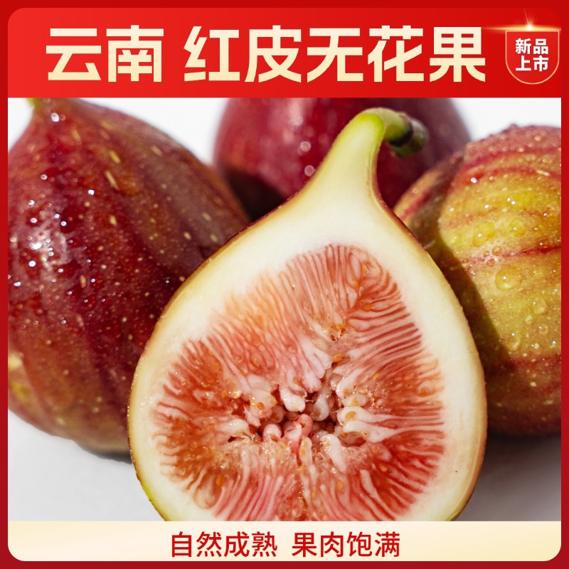 云南新鲜红皮无花果当季水果现摘现发香甜软糯L