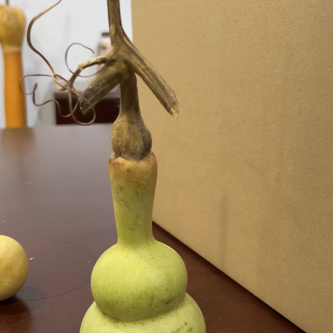 唱歌好好保护你会不会结局