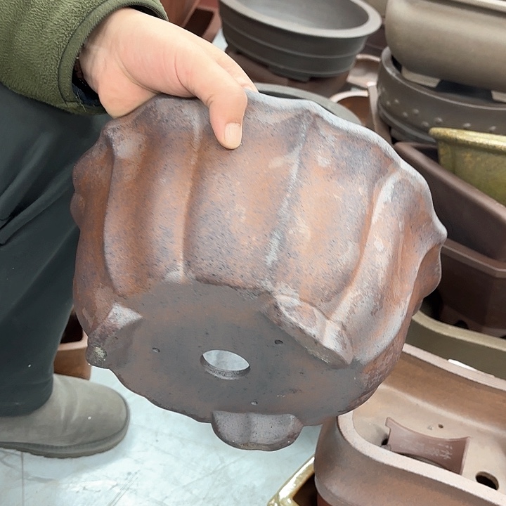 紫砂花盆紫砂的颜色很好看呀