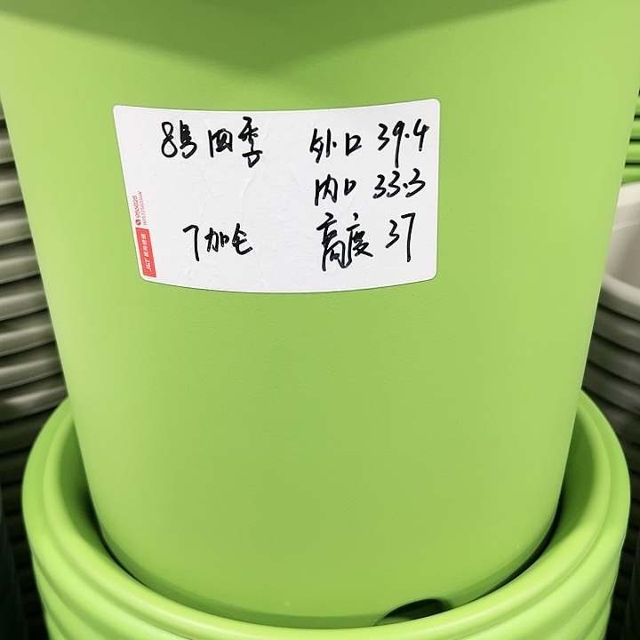 特价8号口39高37白色3只无托