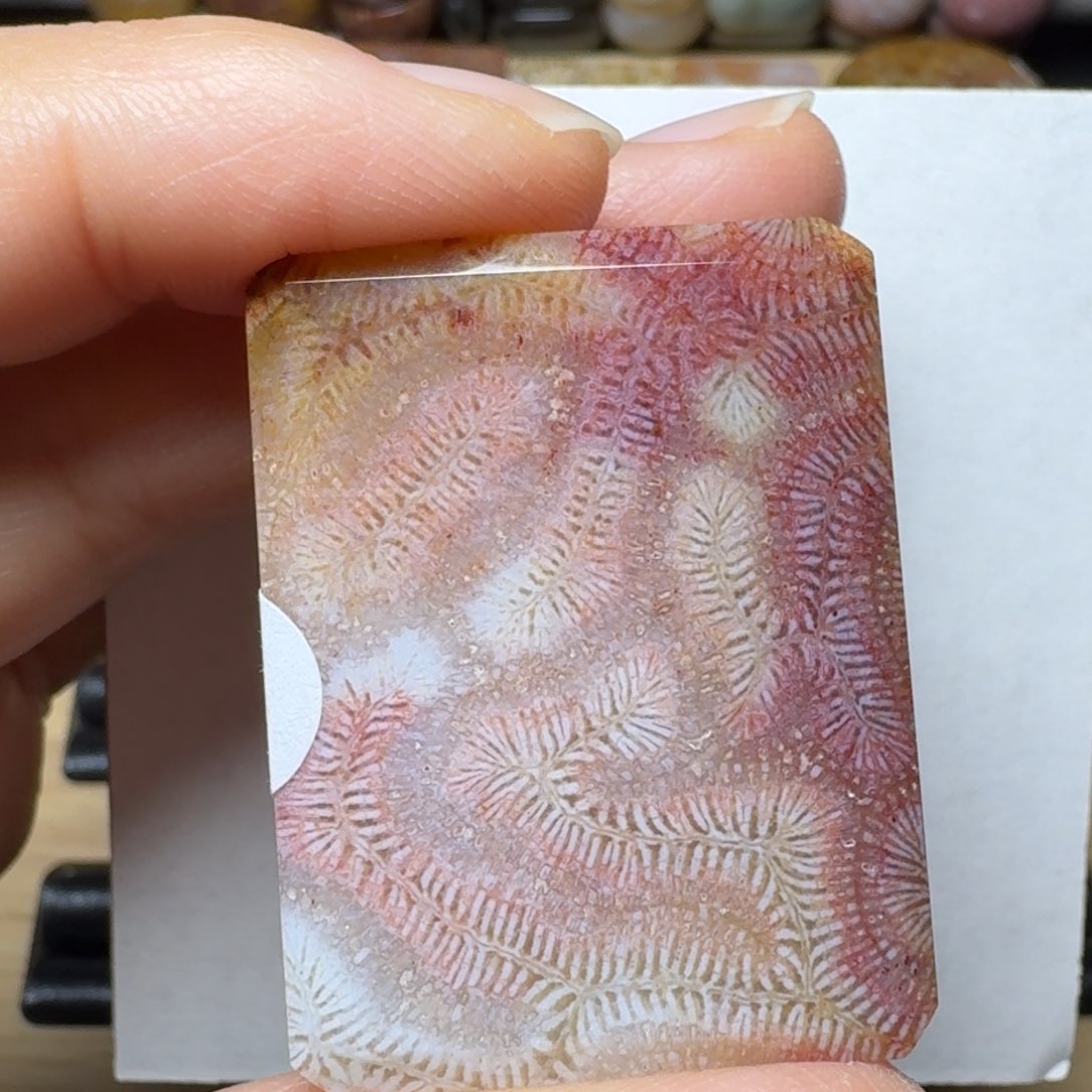 硅化玉彩色 狐尾未镶嵌