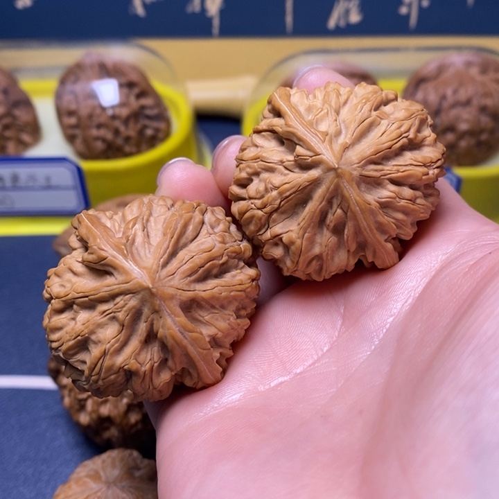 文玩核桃把件御龙粗筋