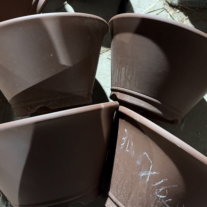 紫砂花盆100-4。 30.5-16.5