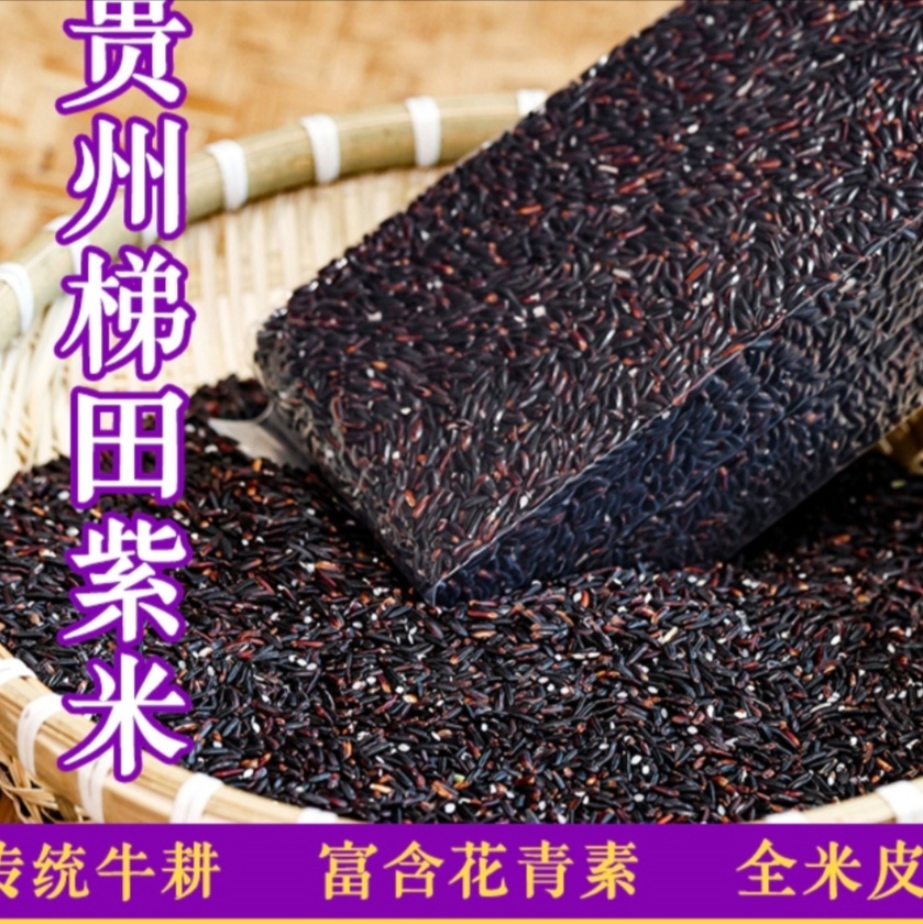 贵州特产黎平九潮紫米紫糯米