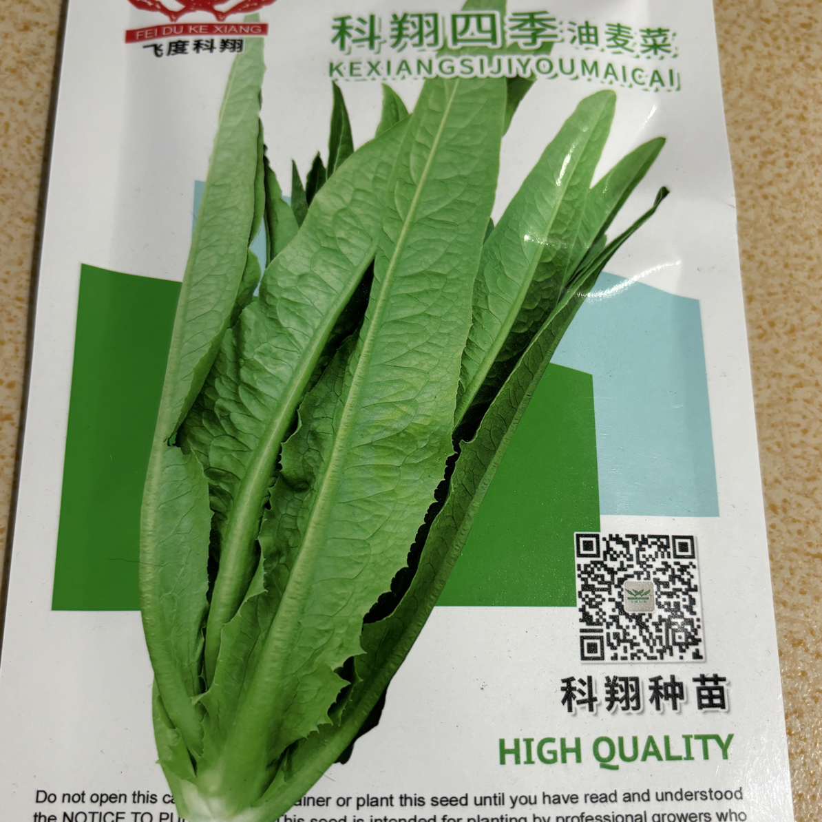 科翔四季油麦菜，抗病性强，耐抽薹