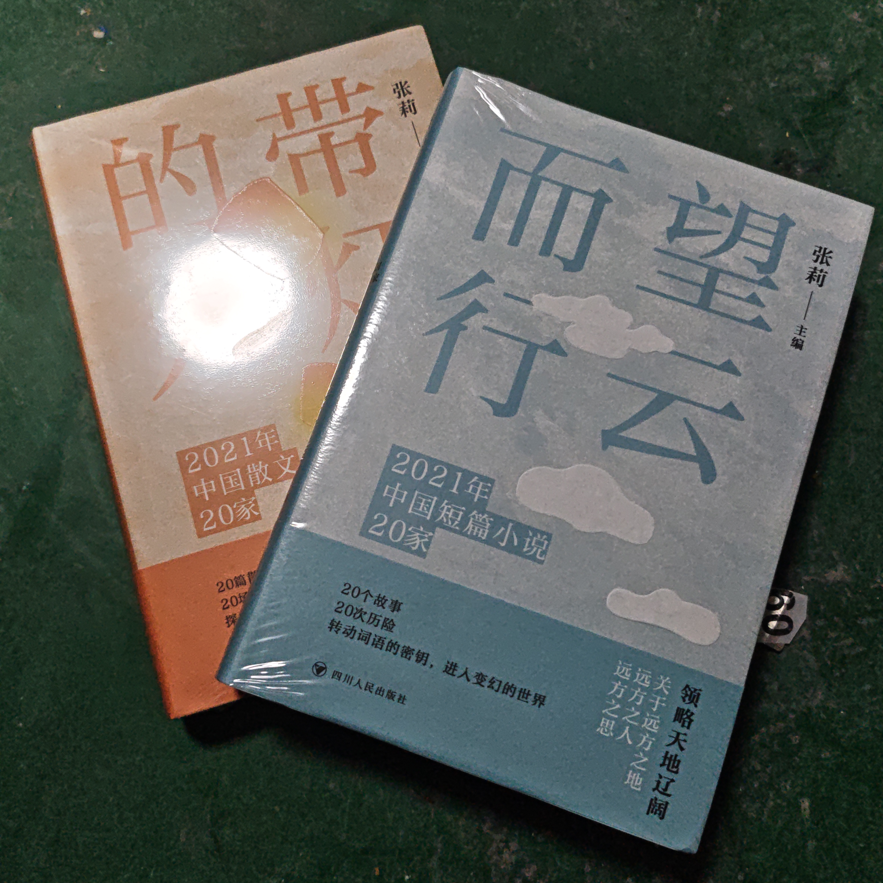 望云而行+带灯的人精装塑封