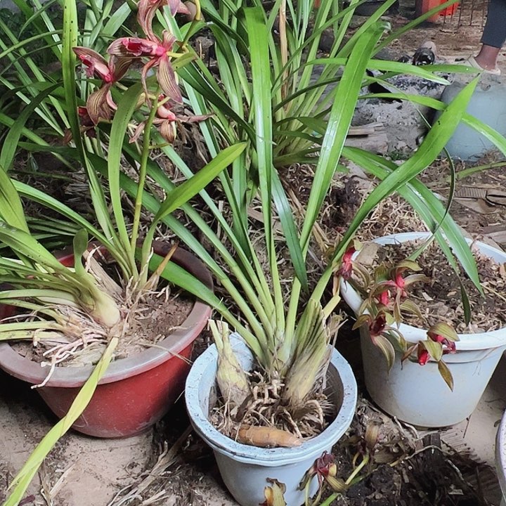 完全开放1111111111111111