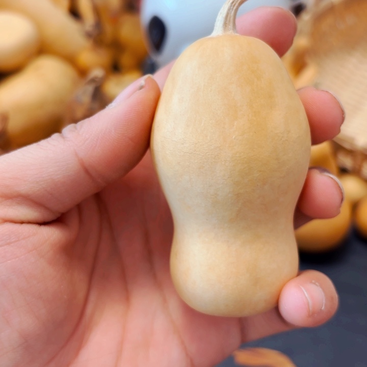 天****机8888888888888989