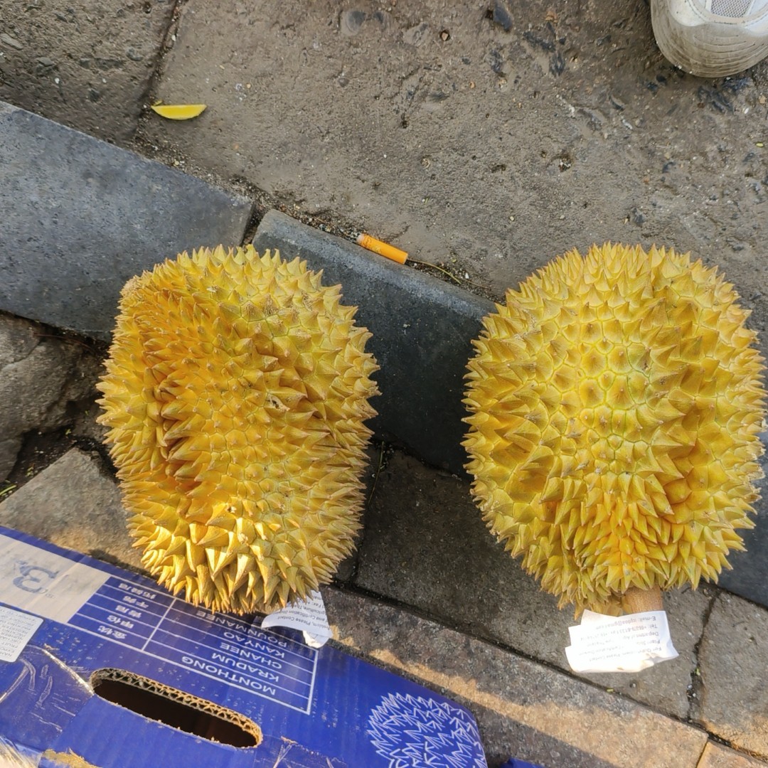 一整个泰国树上熟金枕5斤左右糯甜（帮剥）鲜榴莲核小金枕同城送金枕泰国