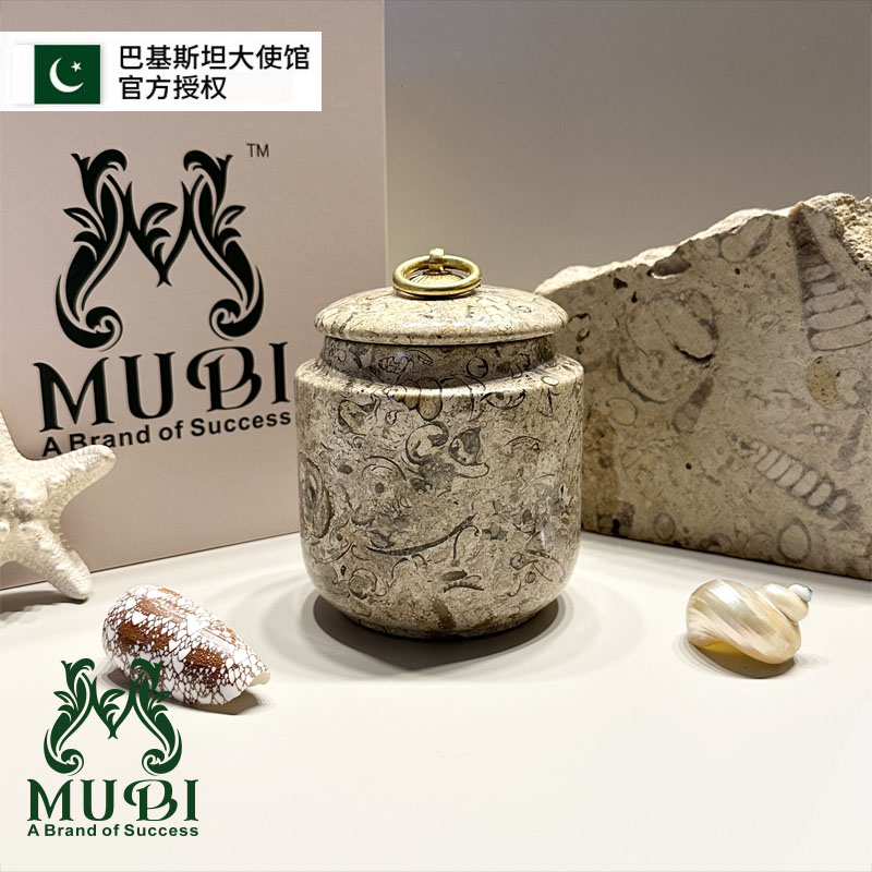 【胖】巴基斯坦海底化石茶叶罐防潮密封收纳罐装饰摆件穆比茶叶罐