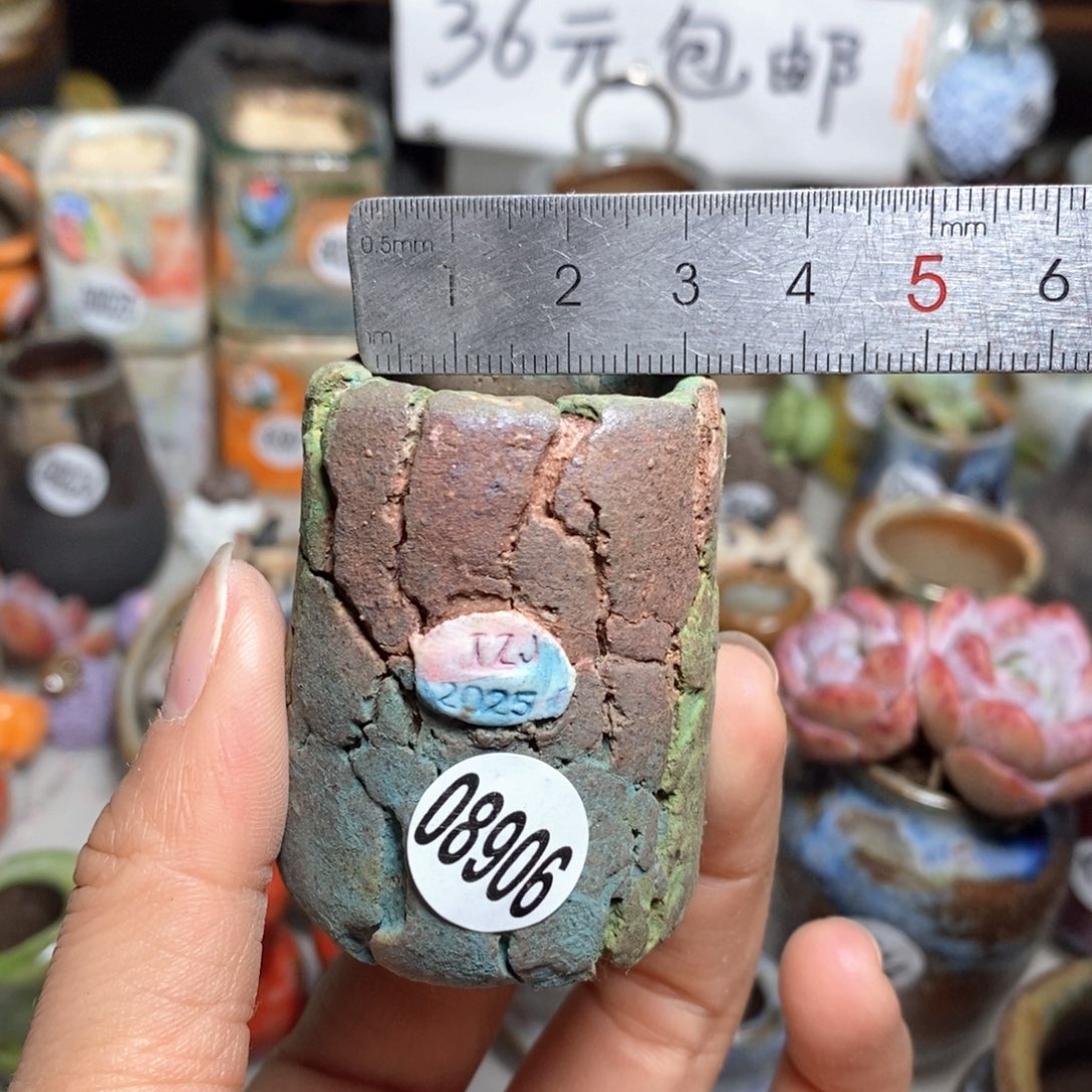 花盆拍5送一个小礼物