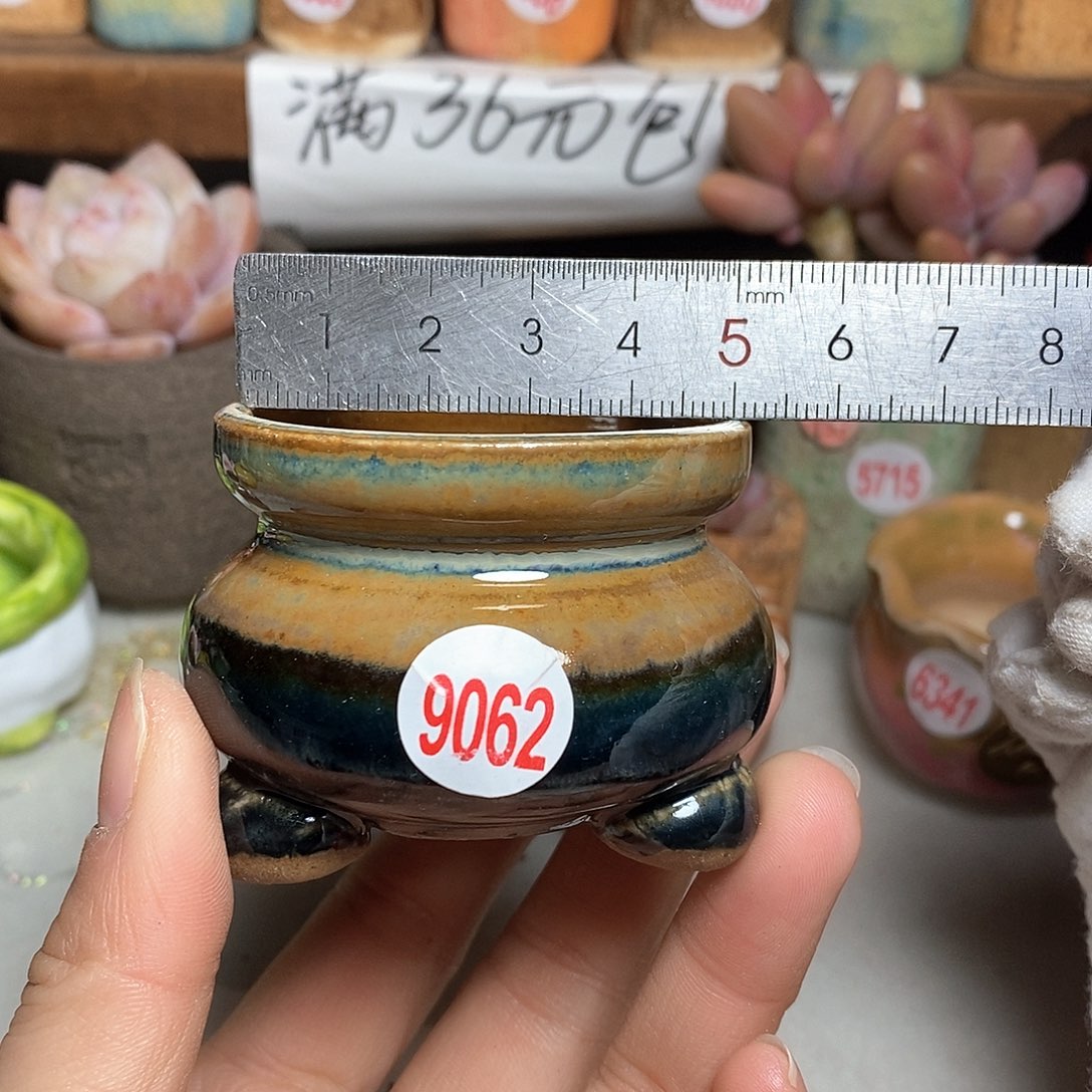 红陶拍5送一个小