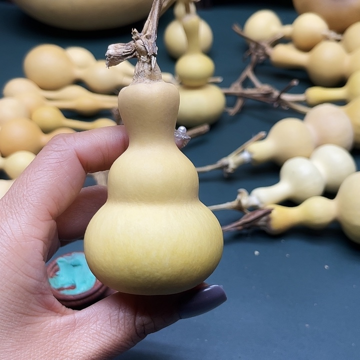 边***看大叶紫檀（黑酸枝木类）