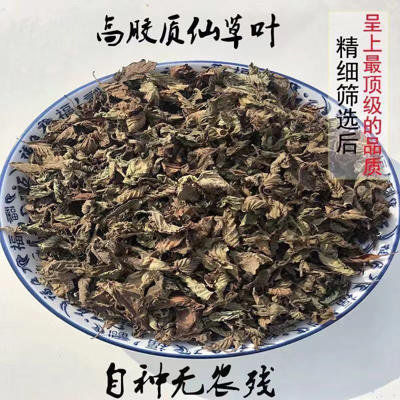福建【商用套餐】农家本地高胶干仙草叶子（赠送工具及配方）农产品