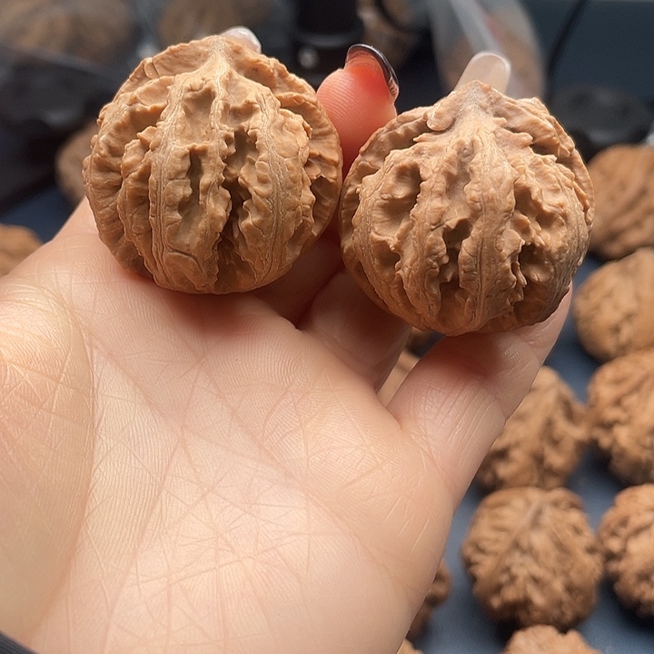 龙脊菩提把件秦岭核桃