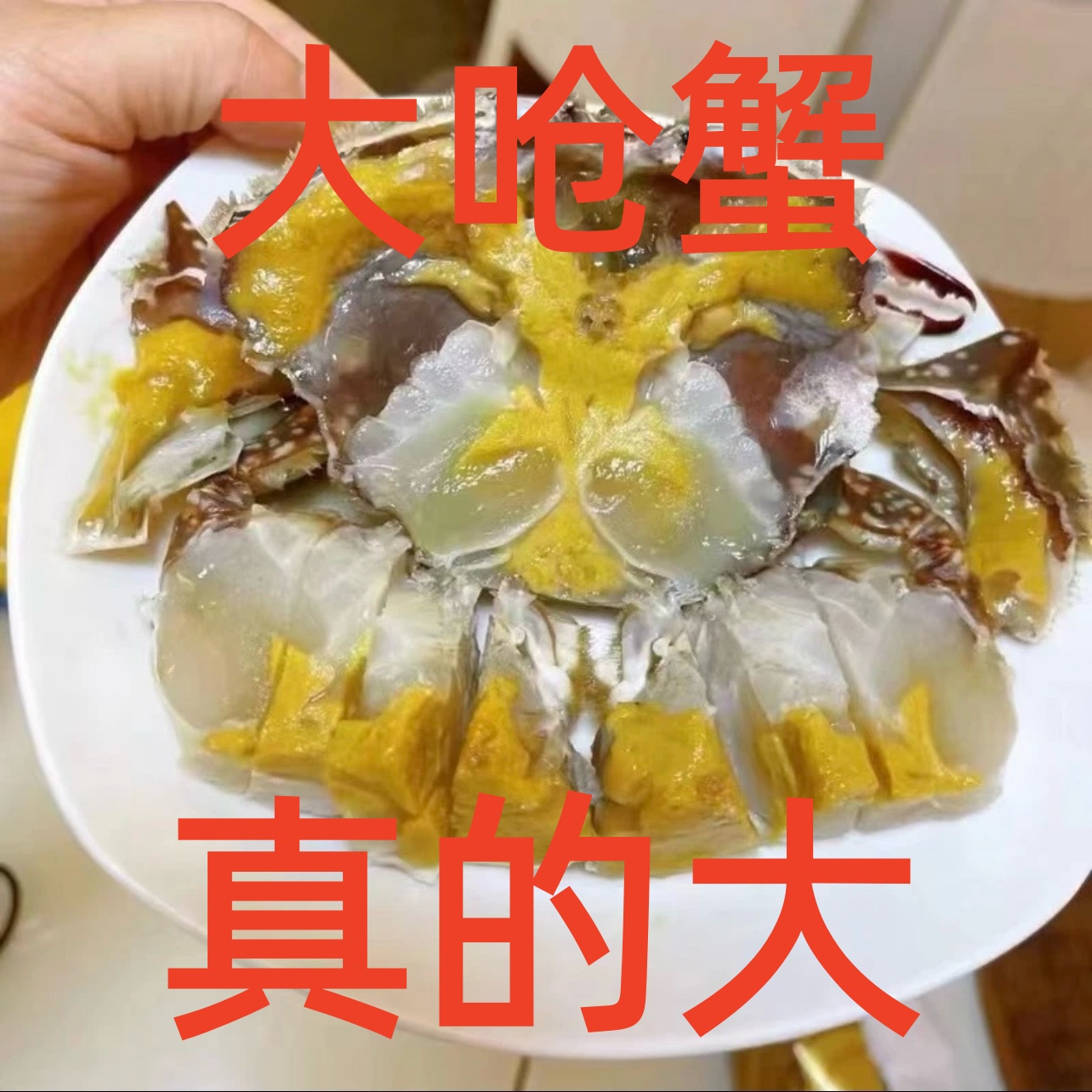 【特大7两-1.2斤】 超大 巨无霸舟山白膏呛蟹即食蟹生腌 不可蒸煮