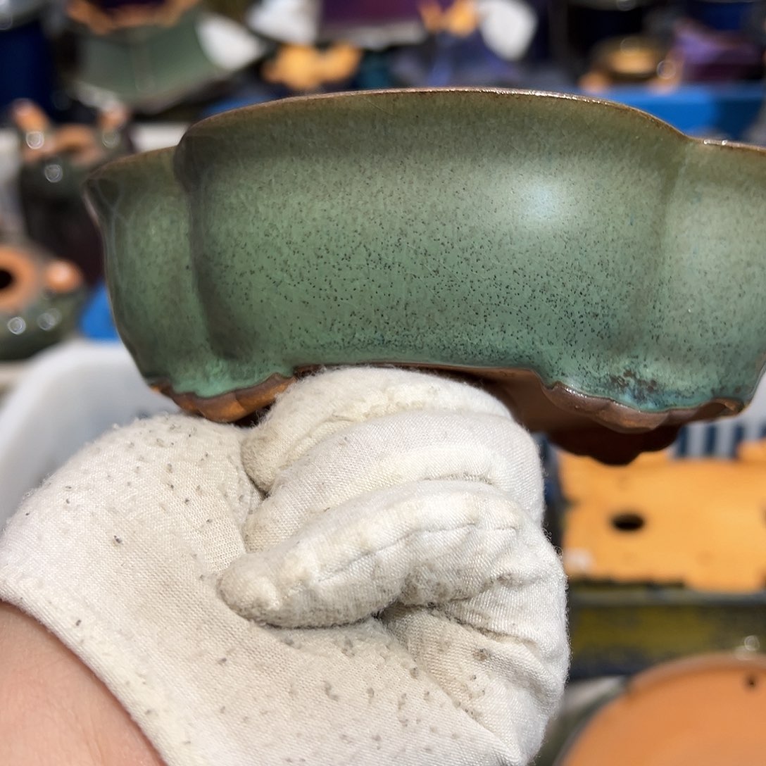 碗觉象原创作品欣赏分享