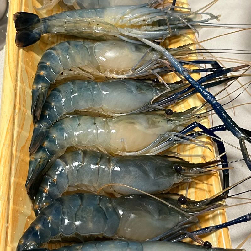 【到手4斤】新鲜速冻罗氏虾冷链包邮