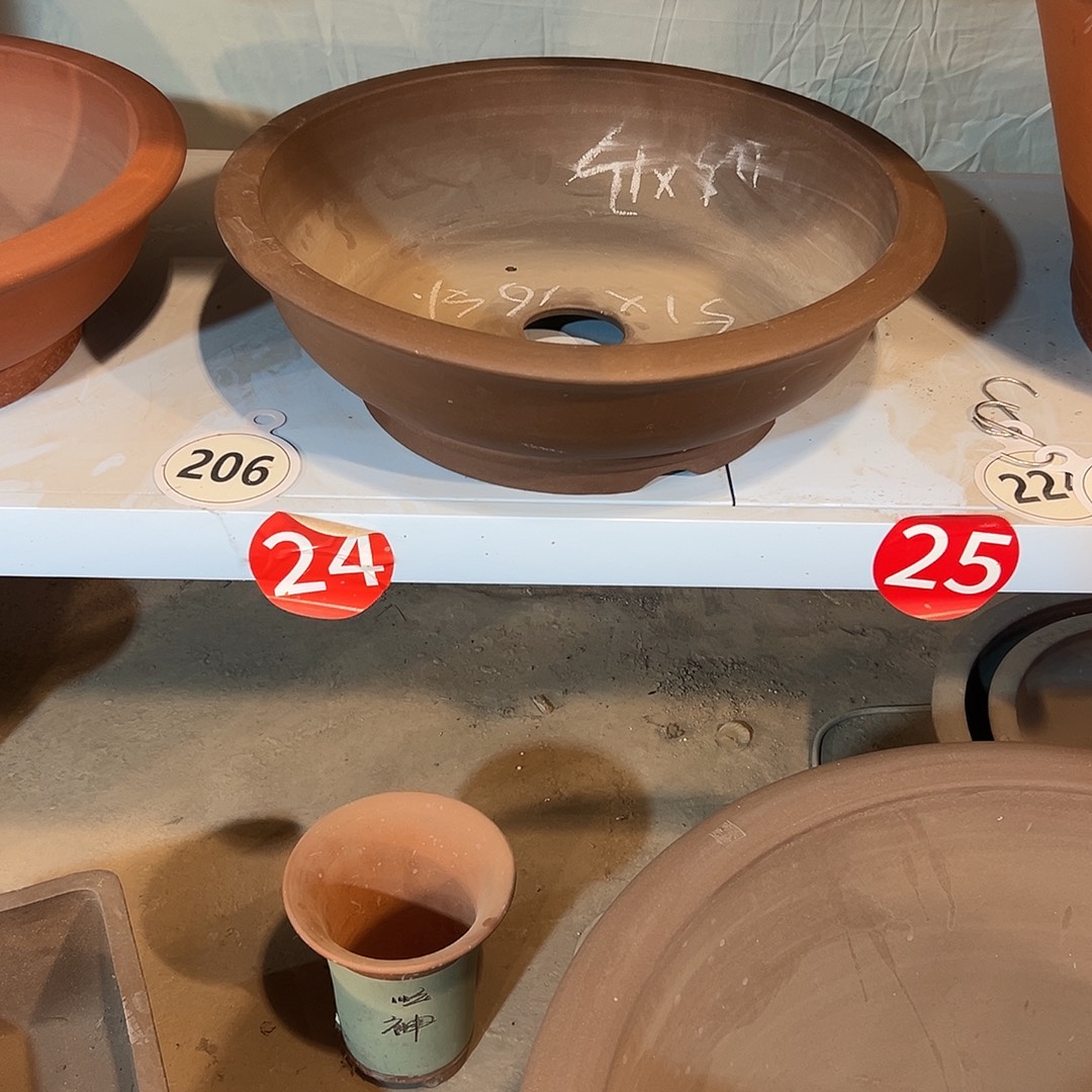 新款碗盆紫色一个中号