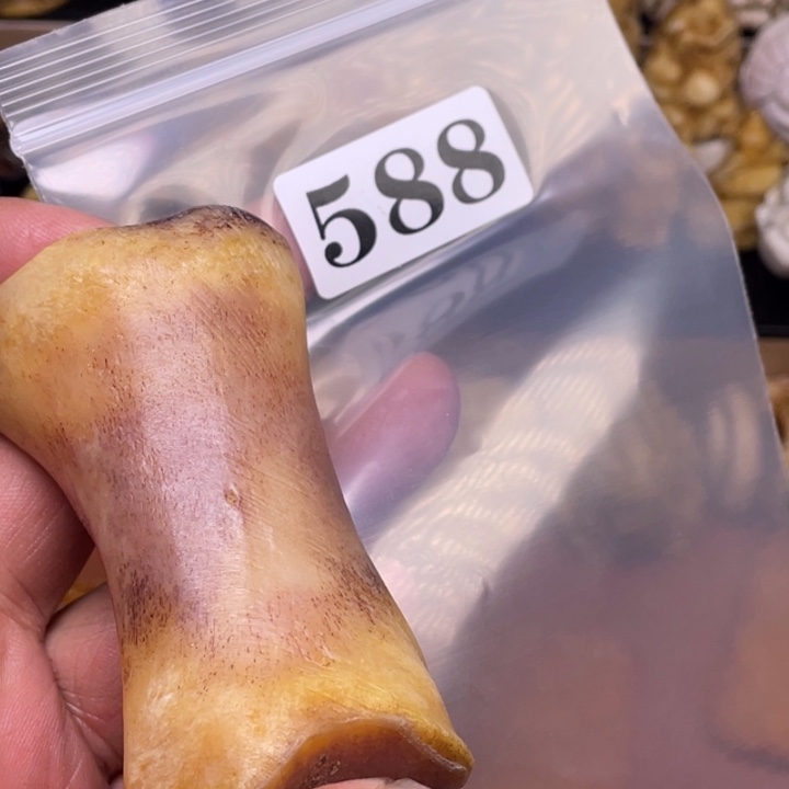 驼骨摆件人工万股