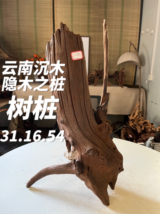 云南紫柚木沉木鱼缸蟹缸龟缸摆件装饰拱桥树桩晒龟