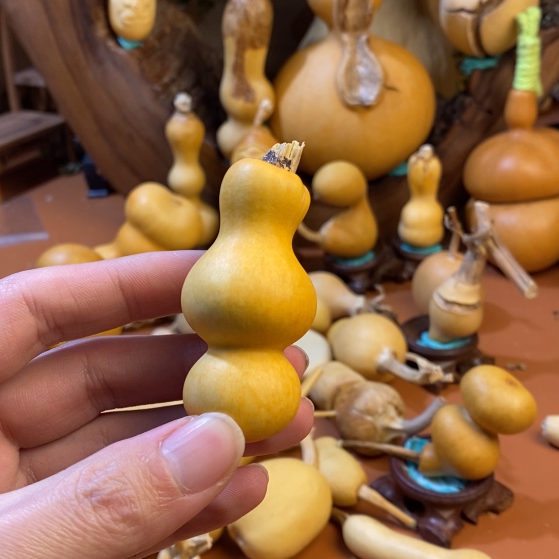 文***玩教练教练咯哦嘛教练