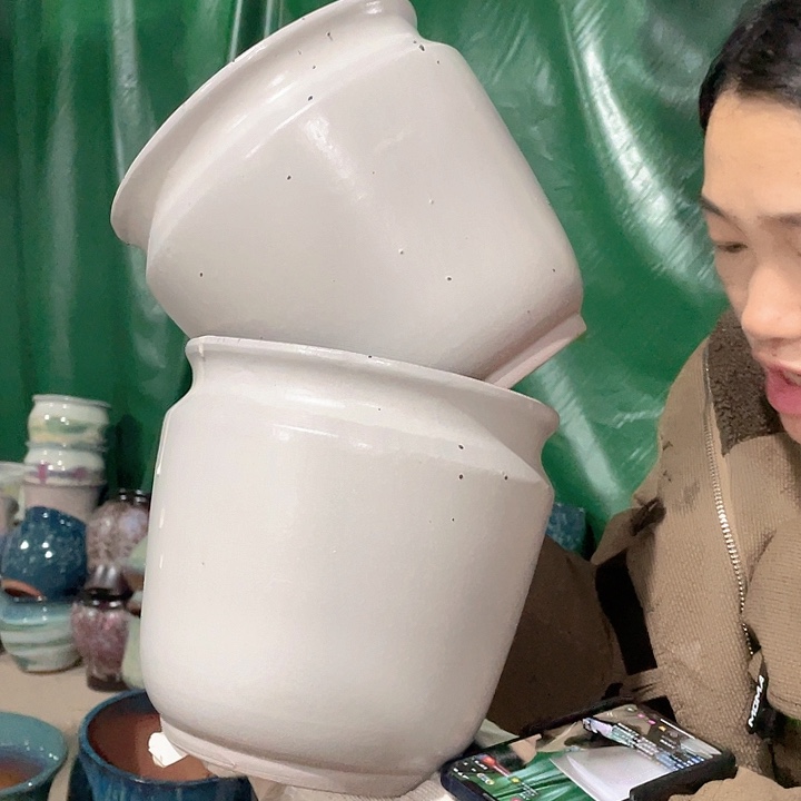 正品20/20两个处理