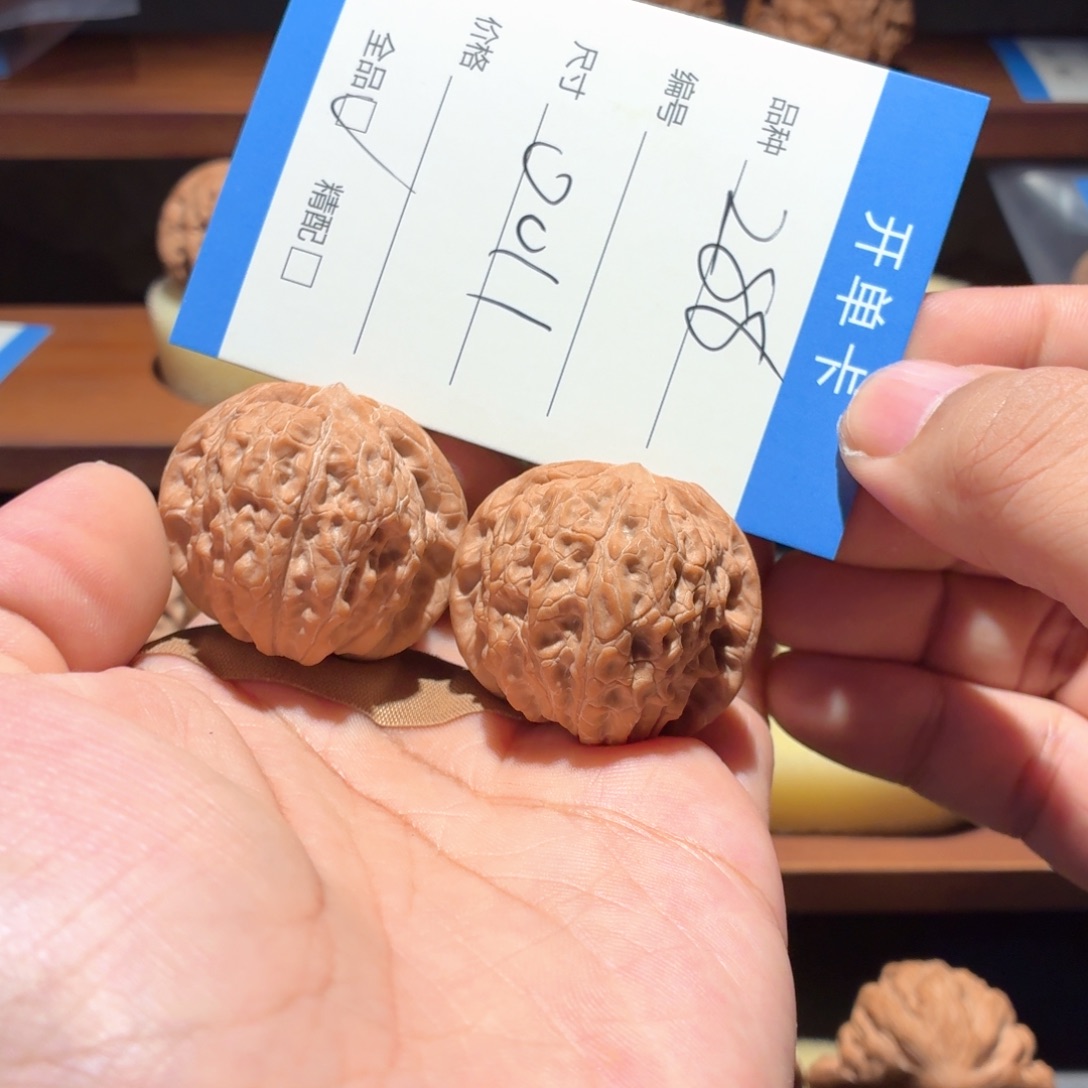 全品无修37.5尺血麒麟