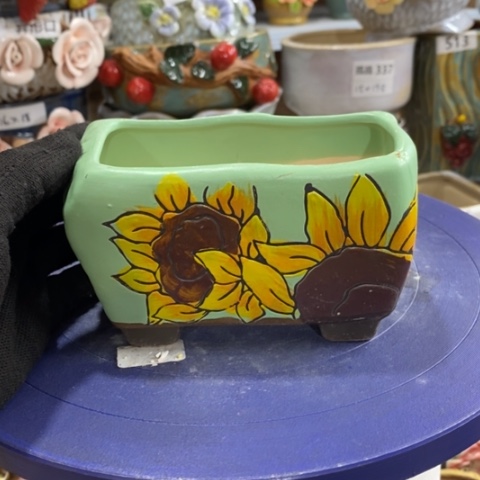 【闪购商品】红陶1