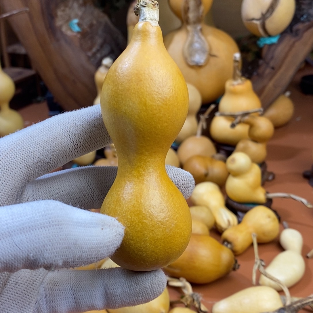 吳****教练教练教练教练经理
