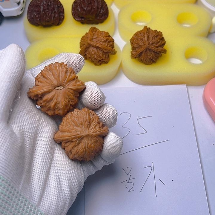 大叶紫檀（黑酸枝木类）몽*