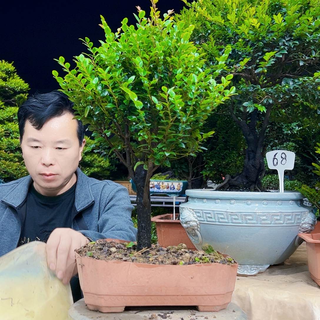 以实际为准花*叔12345678