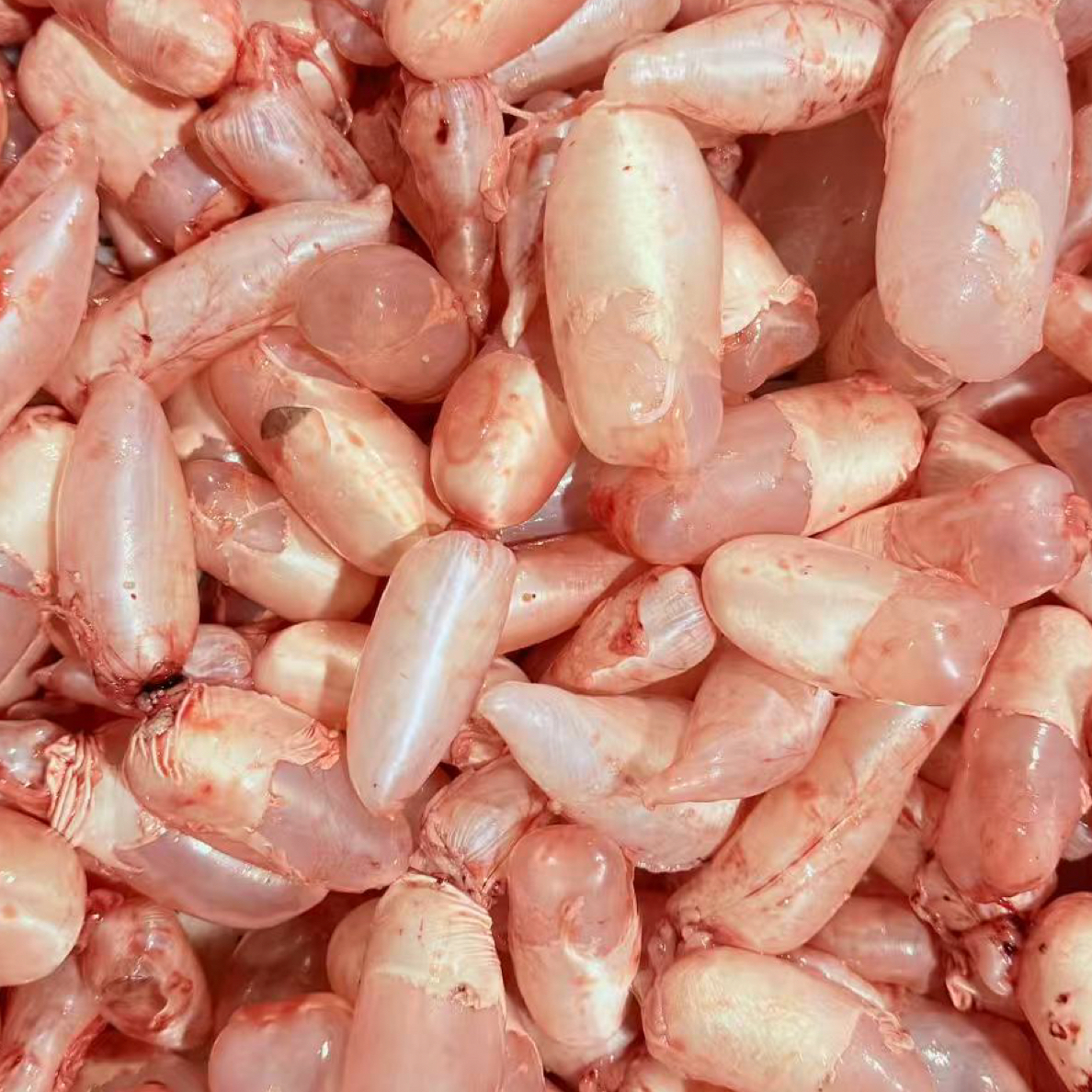 新鲜鲤鱼泡1斤装顺丰发货