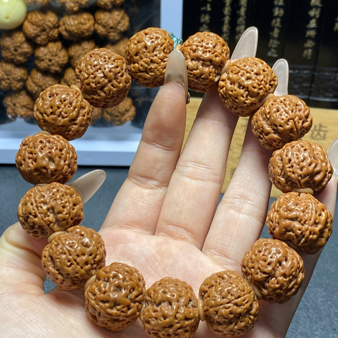 新品菠萝蜜蜂王（2号）