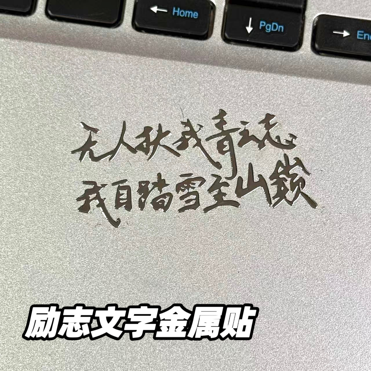 无人扶我青云志我自踏雪至山巅听泉贴纸手机笔记本平板装饰c