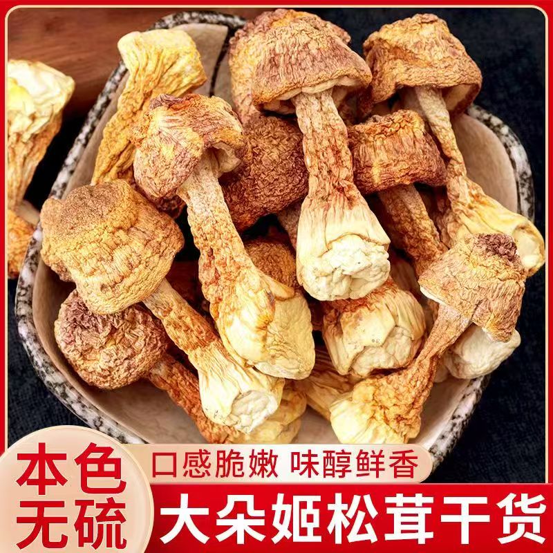 古田特产姬松茸干货无硫食用农产品煲汤食材新鲜菌菇