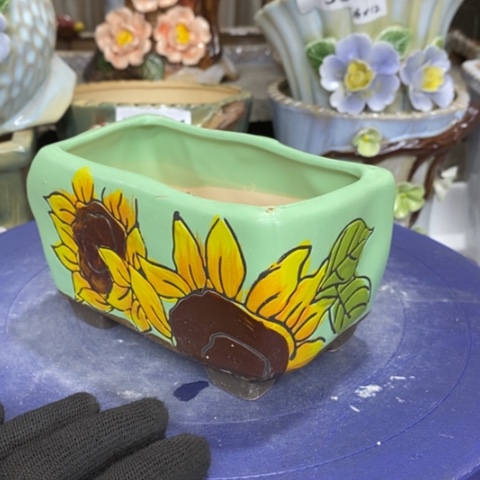 【闪购商品】红陶，a